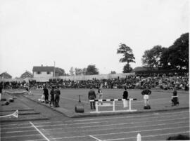 Discus or hammer throw