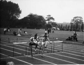 Hurdles race